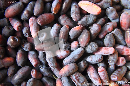 Image of Honeysuckle berries