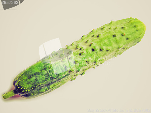 Image of Retro look Cucumber