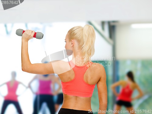 Image of young sporty woman with light dumbbell