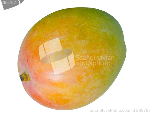 Image of Mango
