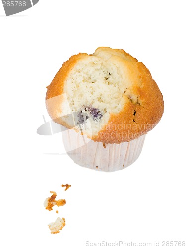 Image of Blueberry Muffin