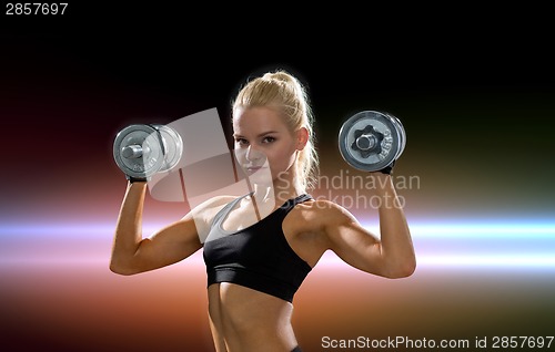 Image of sporty woman with heavy steel dumbbells