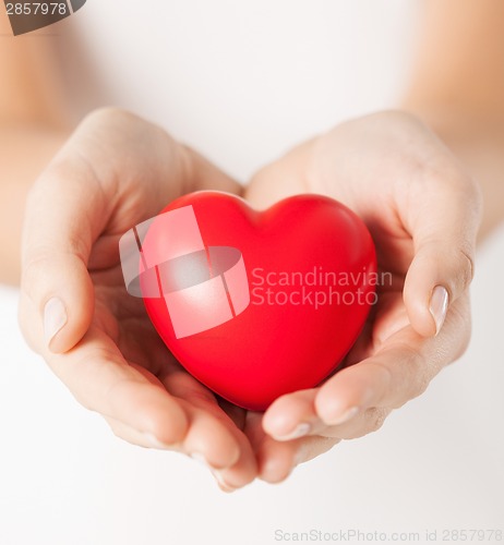 Image of female hands with small red heart