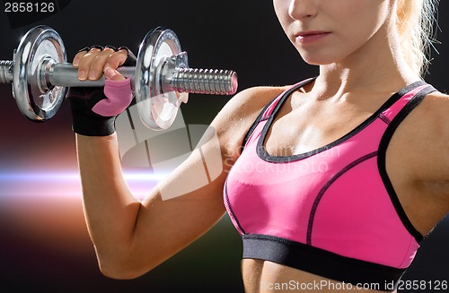 Image of close up of sporty woman with heavy steel dumbbell