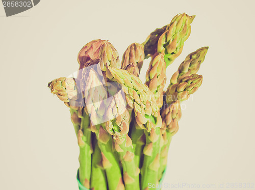 Image of Retro look Asparagus