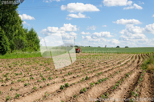 Image of rural tractor plough potato plants in field 