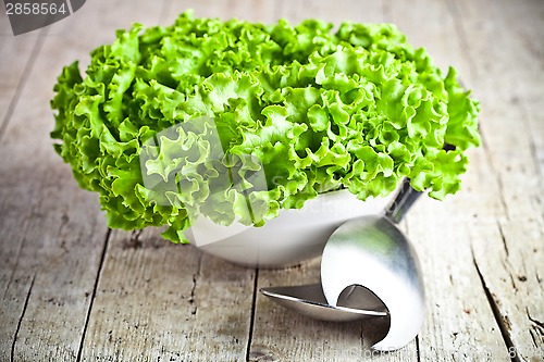 Image of lettuce salad in a bowl and spoons 