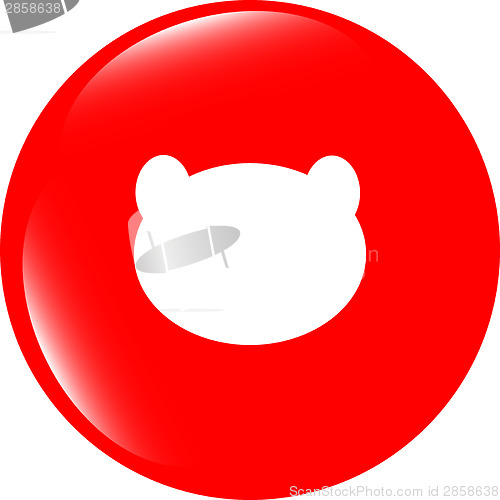 Image of Teddy Bear Toy Head web icon isolated on white