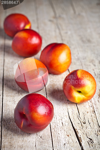 Image of fresh nectarines