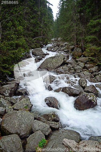 Image of Creek