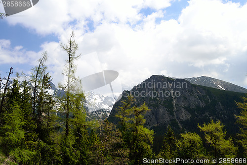 Image of Tatra Mountains