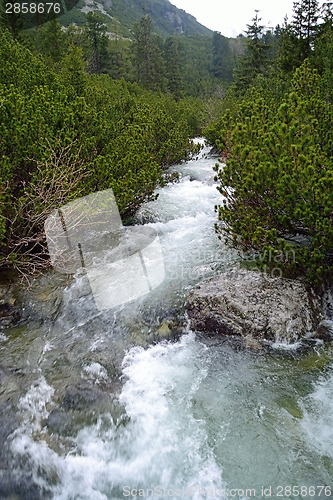 Image of Creek