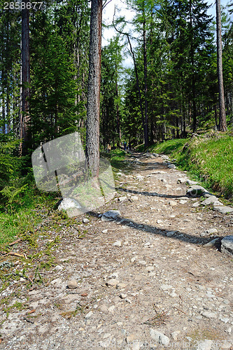 Image of Tourist Path