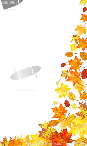 Image of Autumn maple background
