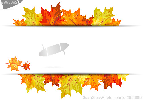 Image of Autumn maple background