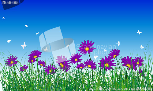 Image of Meadow color background