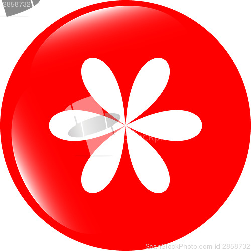 Image of Design flower logo element. web icon isolated on white