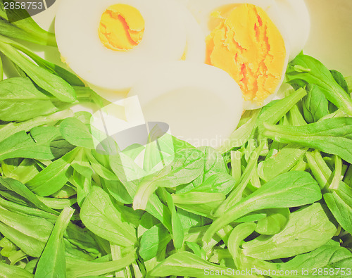 Image of Retro look Salad