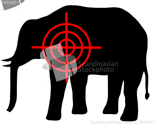 Image of Elephant crosshair