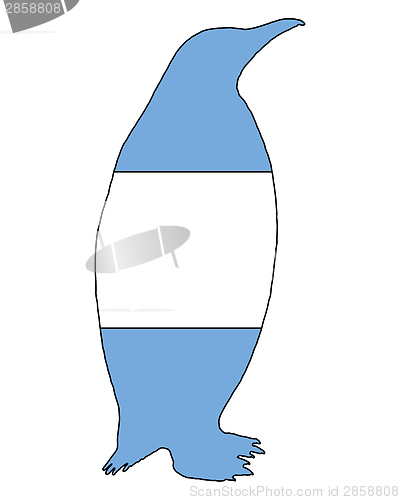 Image of Penguin Argentina