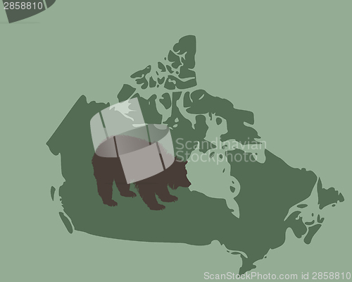 Image of Grizzly bear in Canada