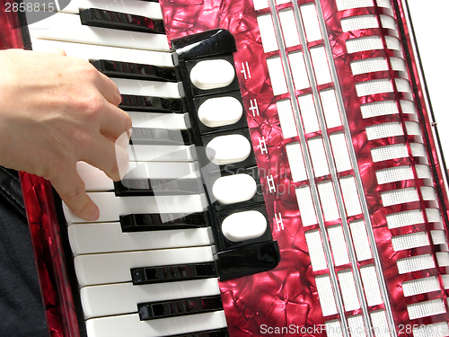 Image of Cutout with a hand playing accordion on white