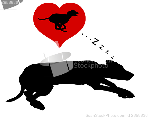 Image of Dog dreams