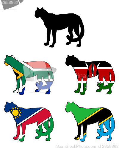 Image of Cheetah Flags