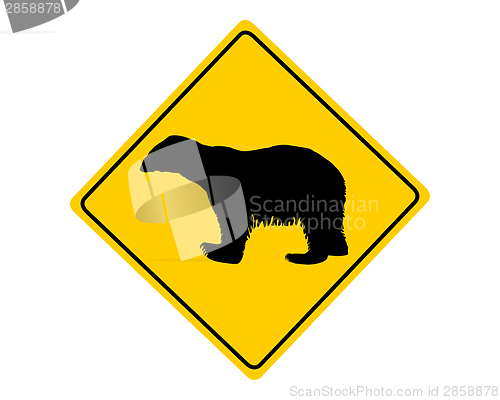 Image of Polar bear warning sign