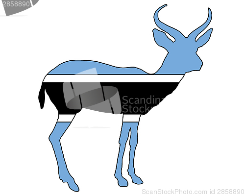 Image of Botswana antilope