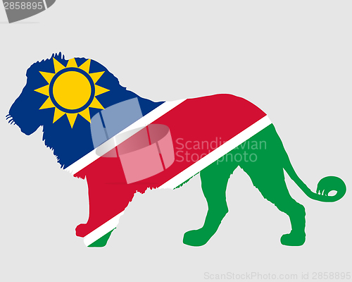Image of Lion Namibia