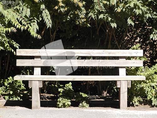 Image of A park bench