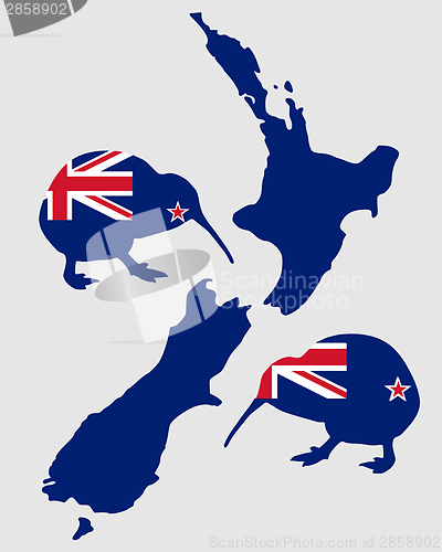 Image of New Zealands kiwi