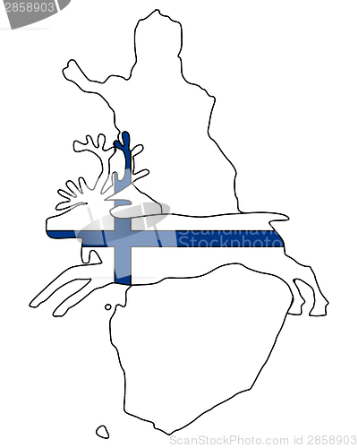 Image of Finnish reindeer
