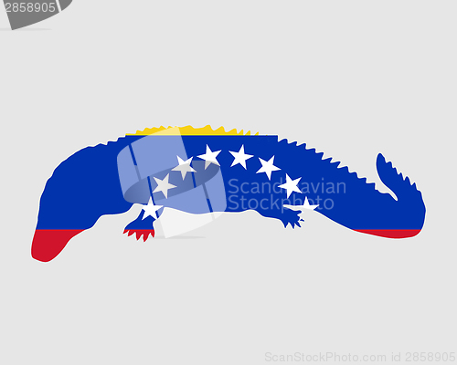 Image of Caiman Venezuela