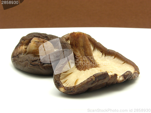 Image of Shiitake on white plate and brown background