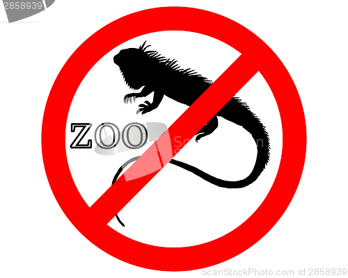 Image of Iguana in zoo prohibited