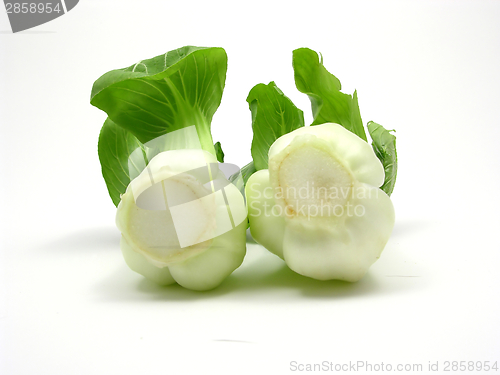 Image of Pak choi arranged on a white background