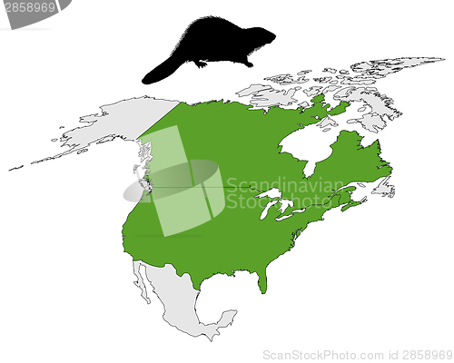 Image of Distribution of canadian beaver 