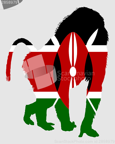Image of Baboon Kenya