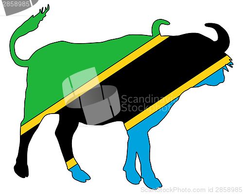 Image of Tanzania buffalo 