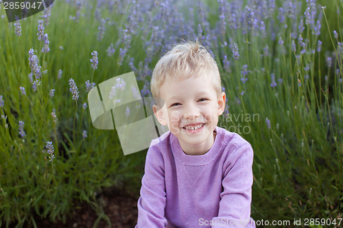 Image of boy at lavender field