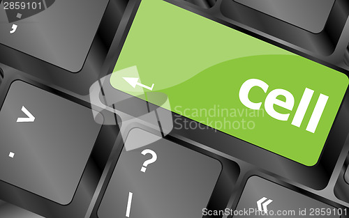 Image of cell word on keyboard key, notebook computer button