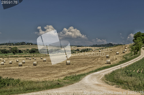 Image of Field of hay bales