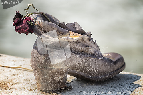 Image of Rose on shoes on the Danube Bank in Budapest