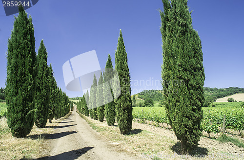 Image of Roads in Tuscany