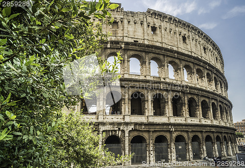 Image of The Colosseum in Rome