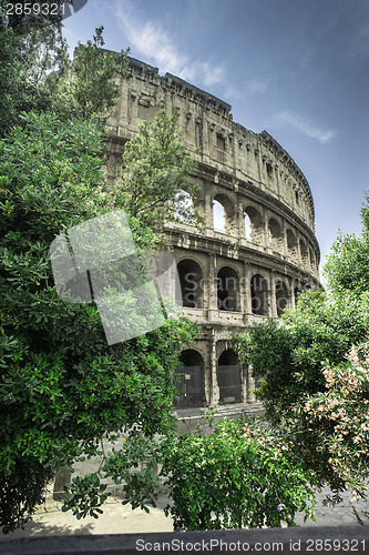 Image of The Colosseum in Rome