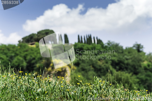 Image of Tuscany landscape