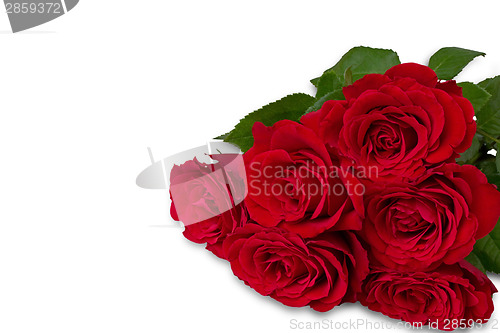 Image of Bouquet of roses